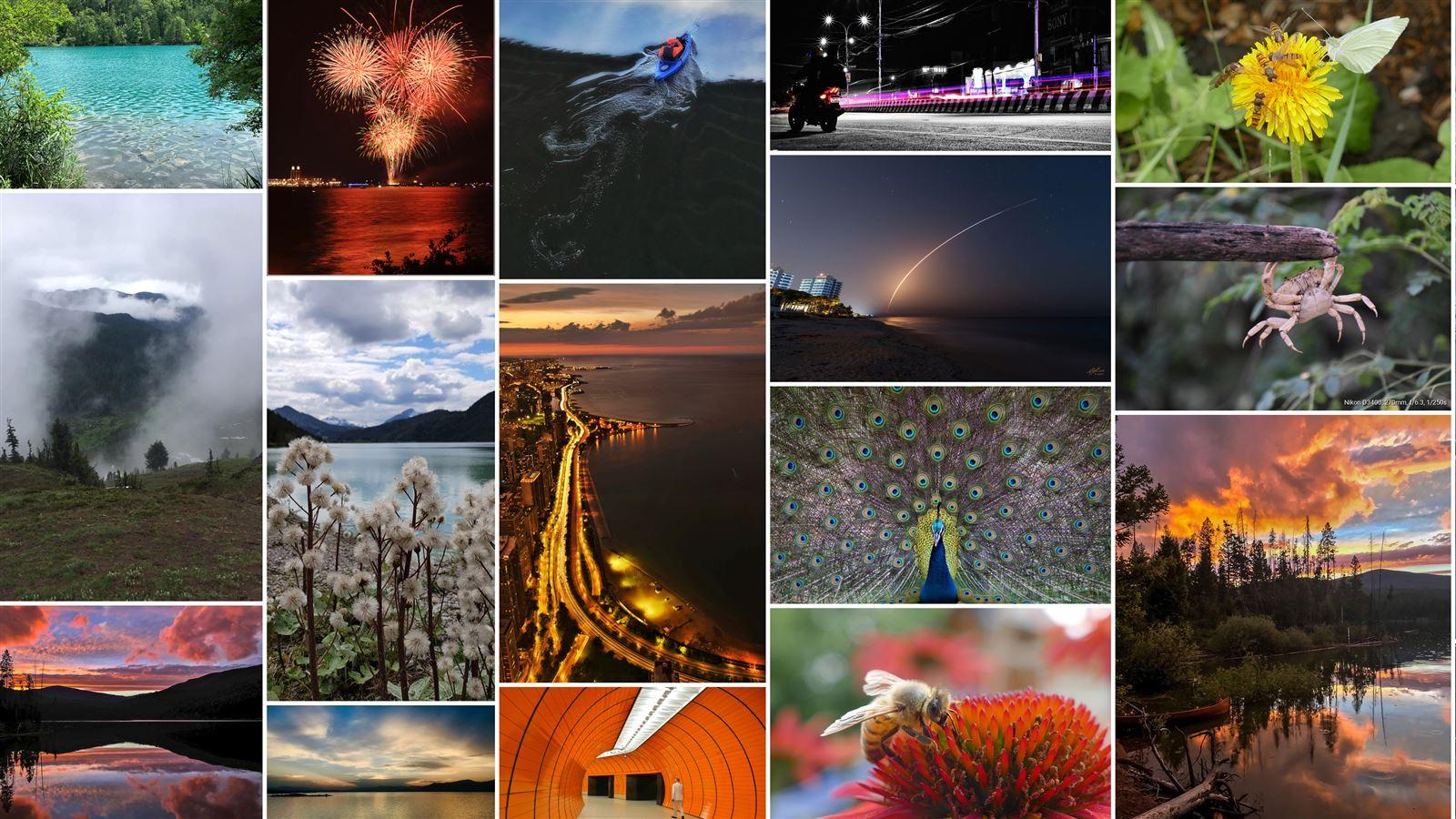 2019 Big Picture Contest Collage