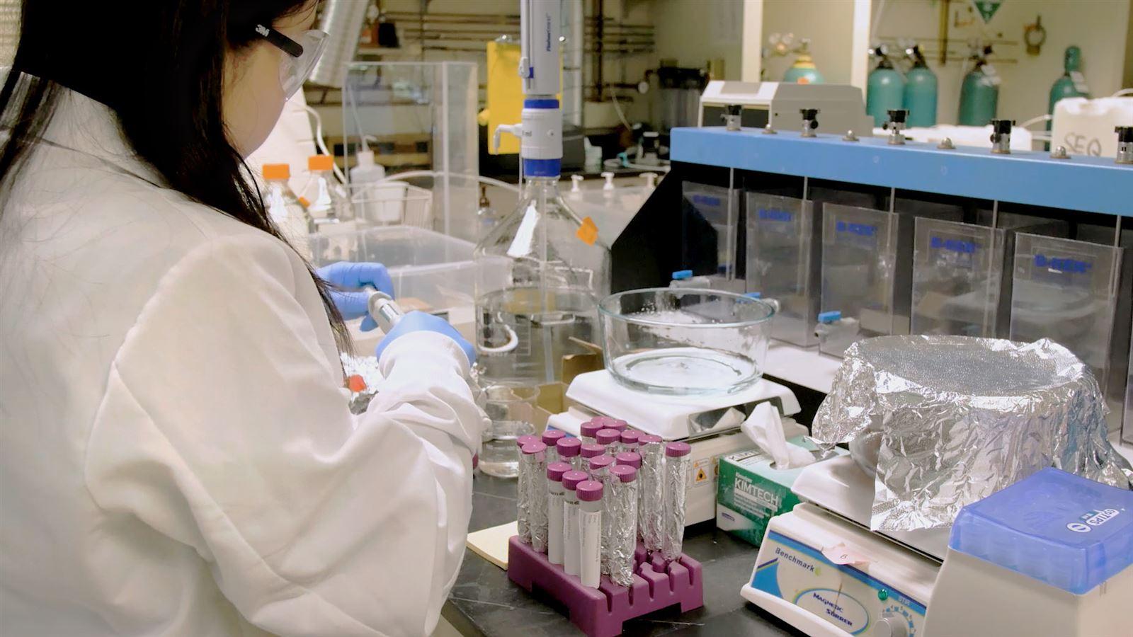 Bellevue Lab