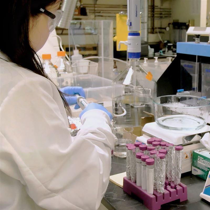 Bellevue Lab