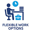 flexible working options