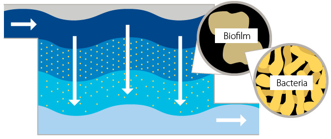 Biofiltration illustration