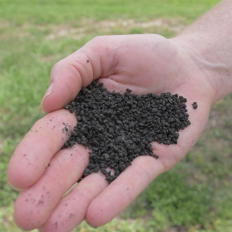 Poop of the Rich and Famous