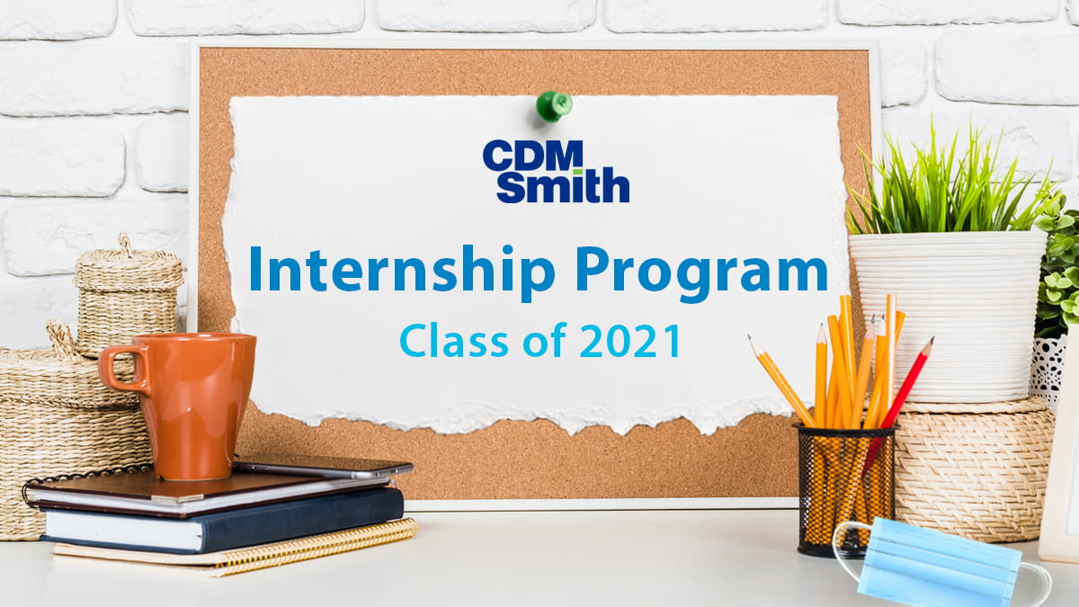 Intern program