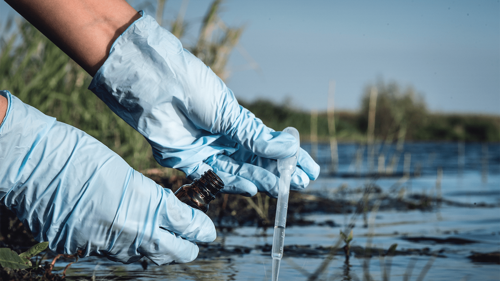 Экология водных объектов