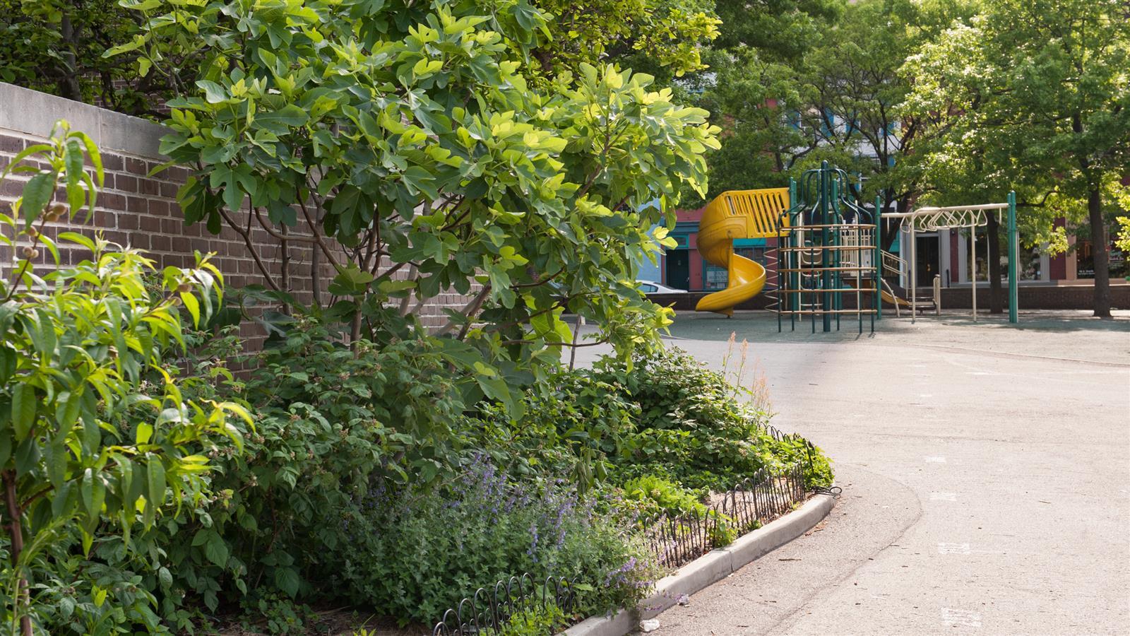 Philadelphia Green Infrastructure playground