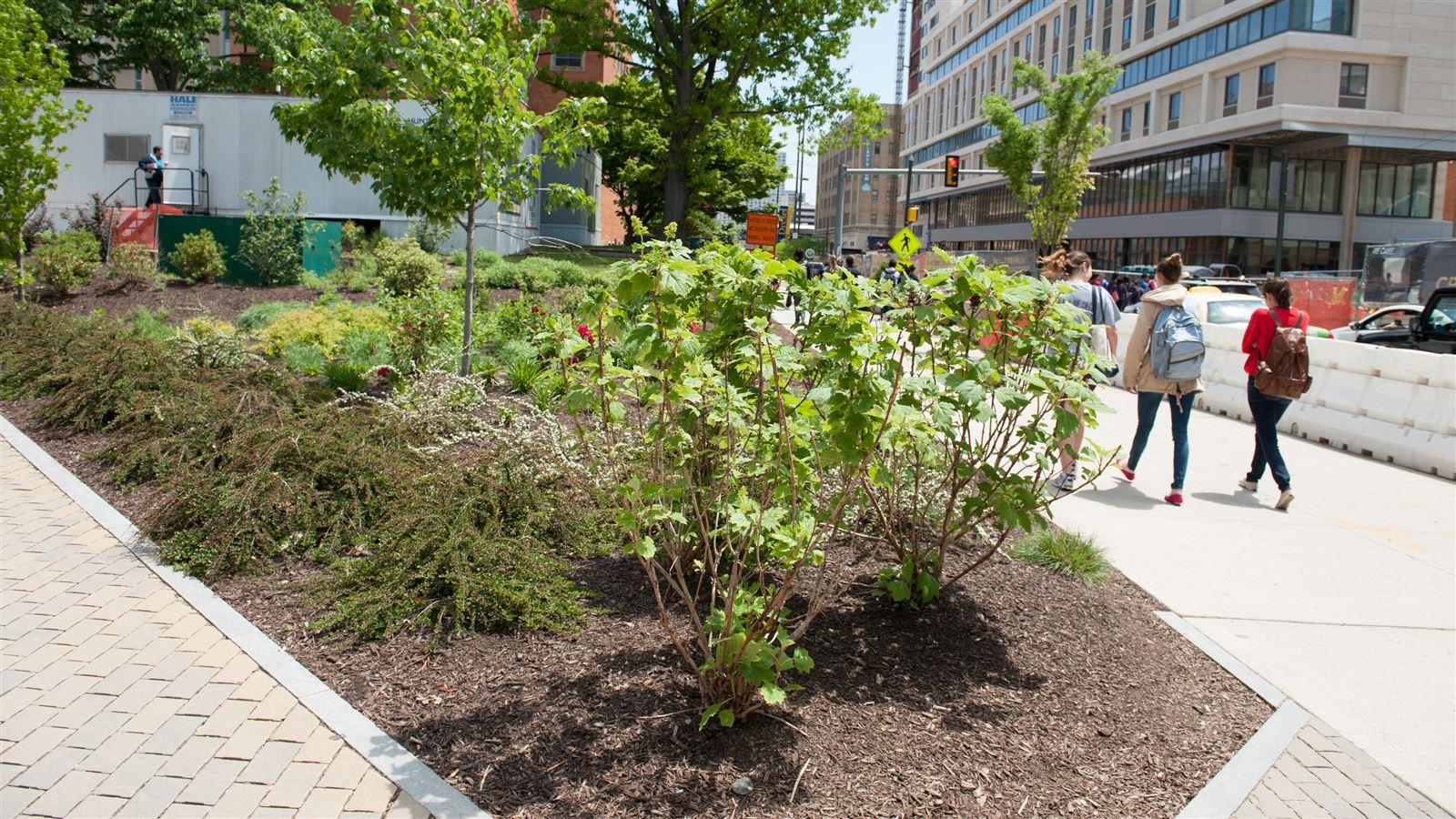 Green Infrastructure Corridor