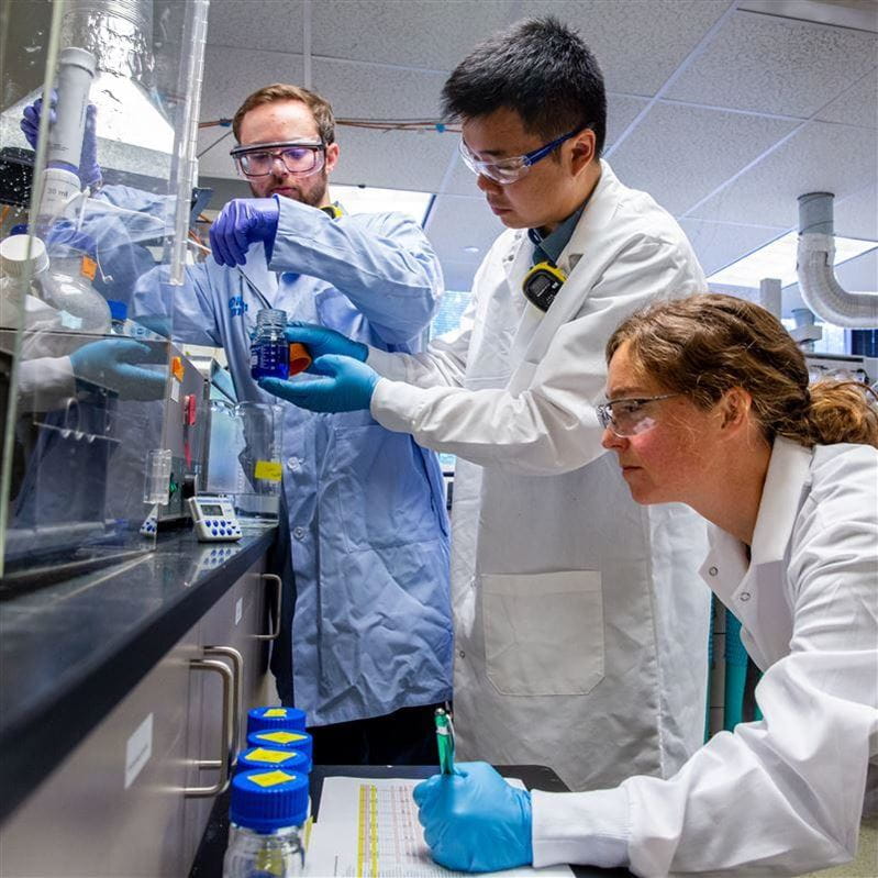 Bellevue Lab