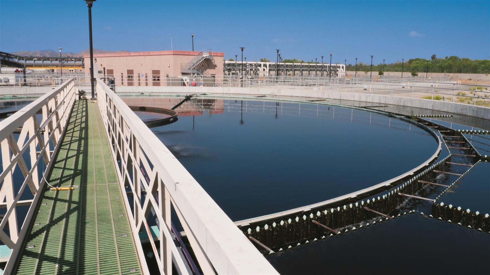 Transforming Food Waste