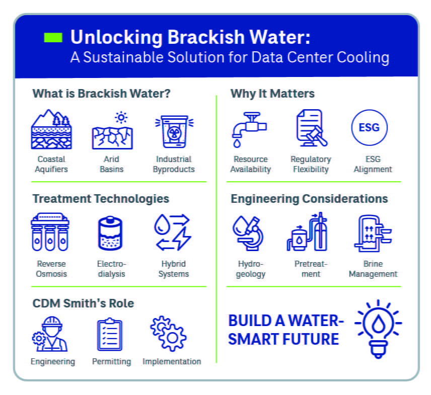 brackish water infographic