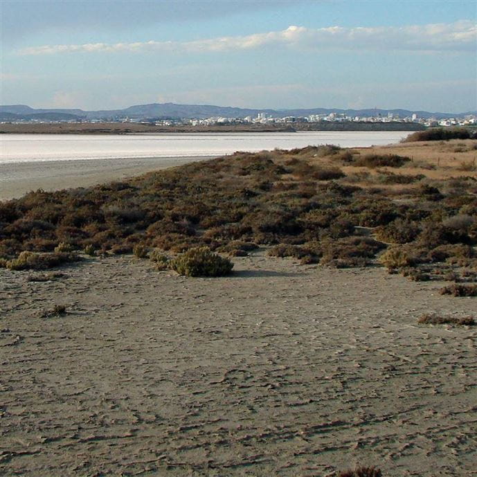 salted lake