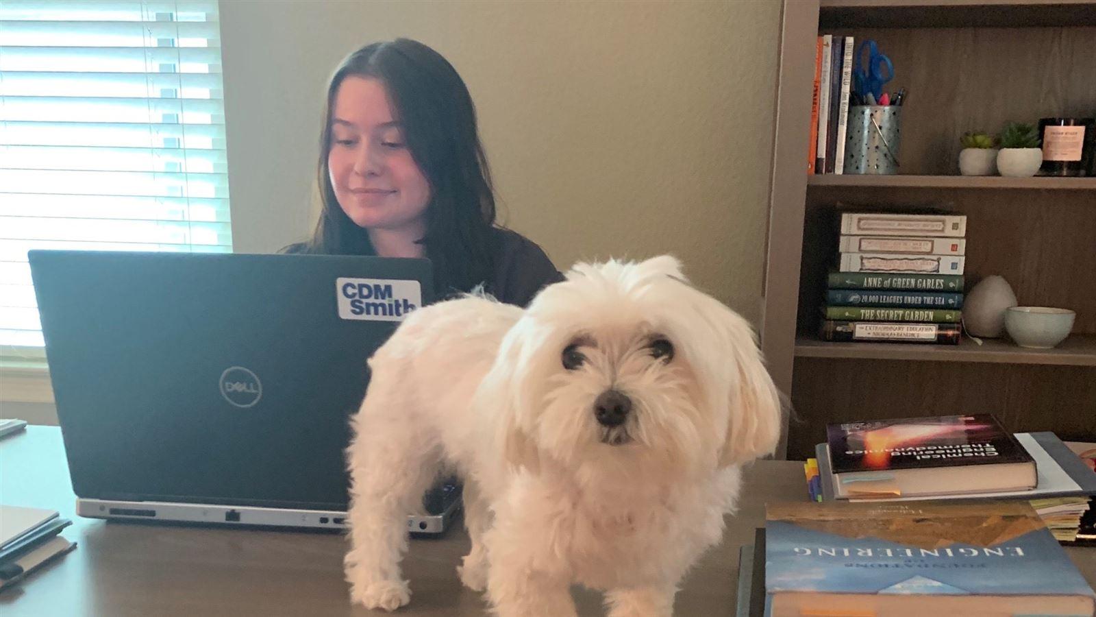 Samantha Langford works from home with her dog.