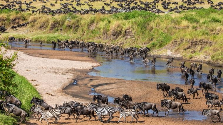 Serengeti National Park