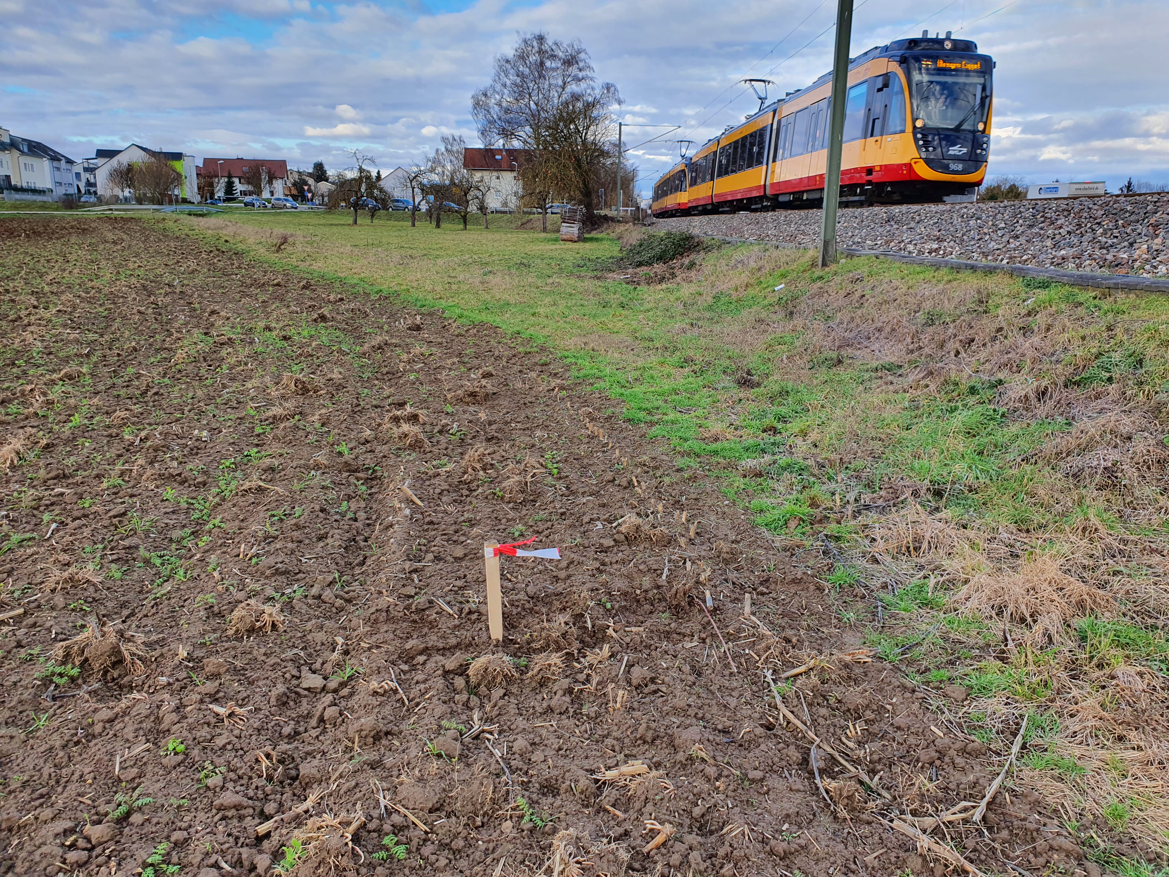 Süddeutsche Erdgasleitung