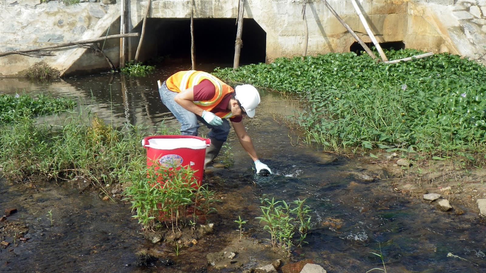 Danang USAID sampling