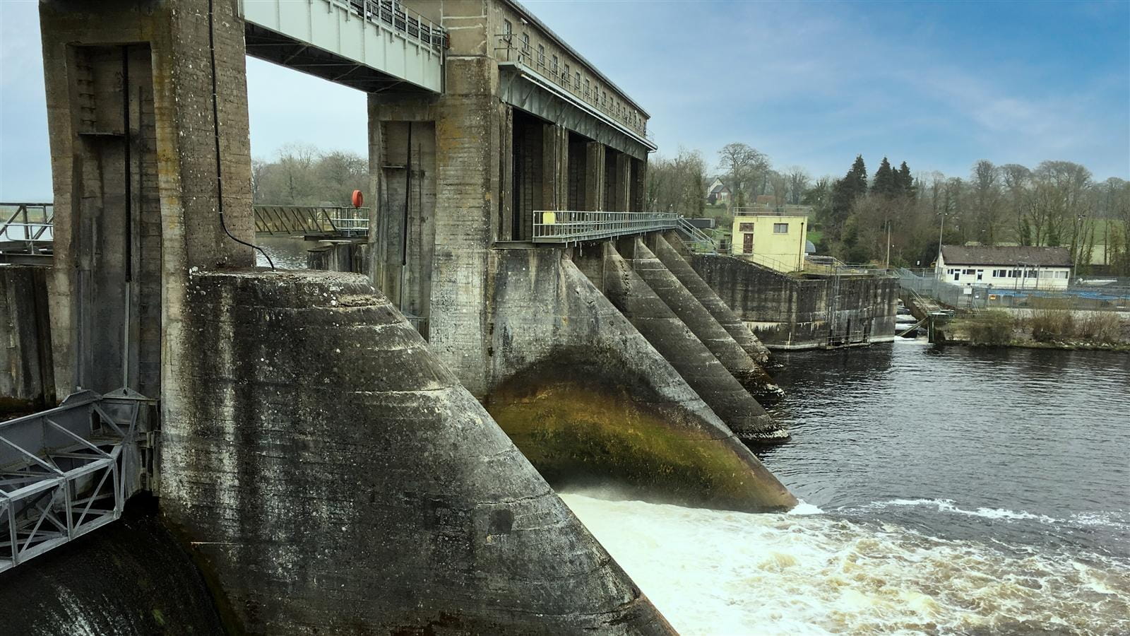 Fish Migration Lower River Shannon