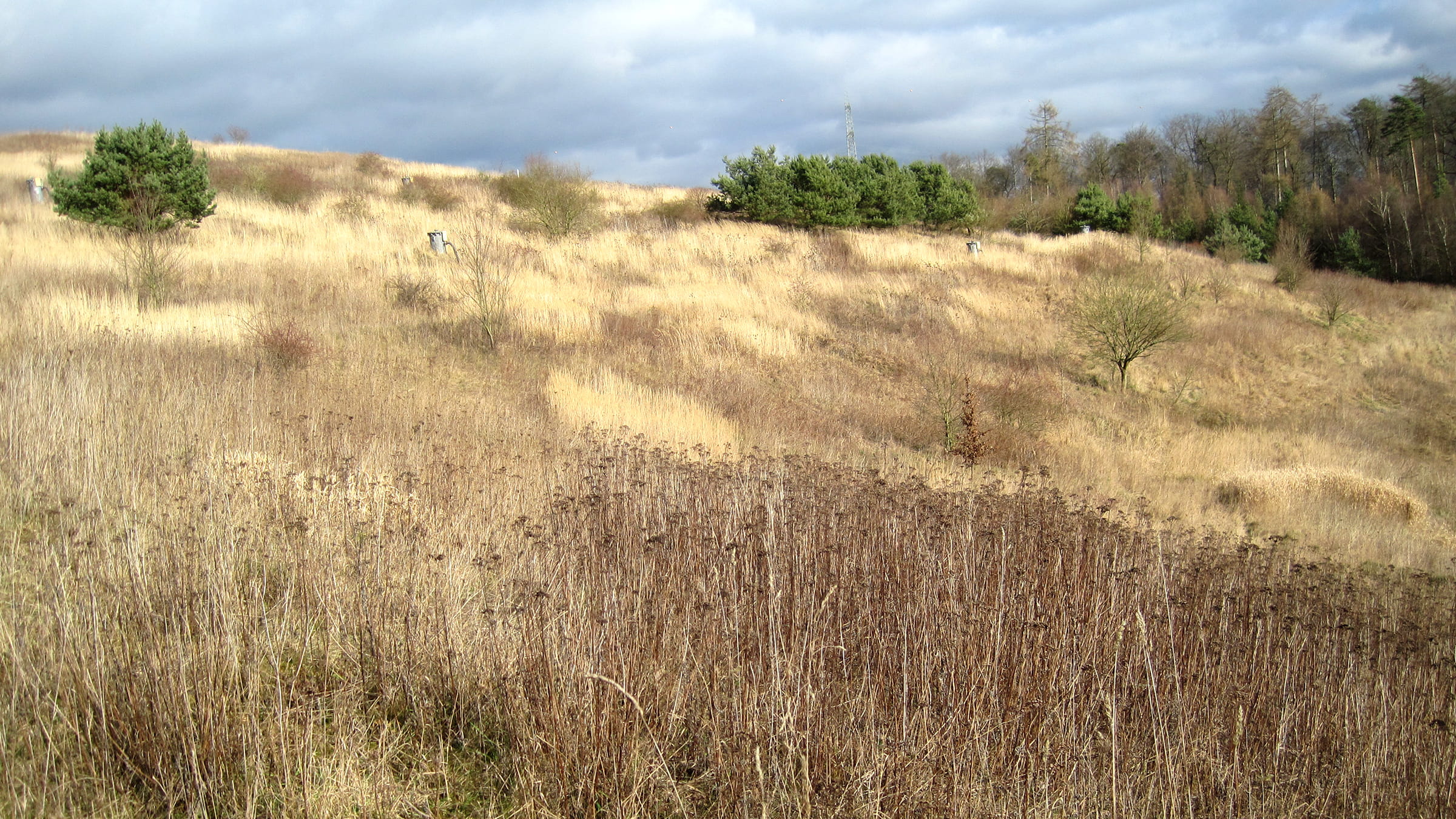 Deponieplanung Bad Hersfeld Image