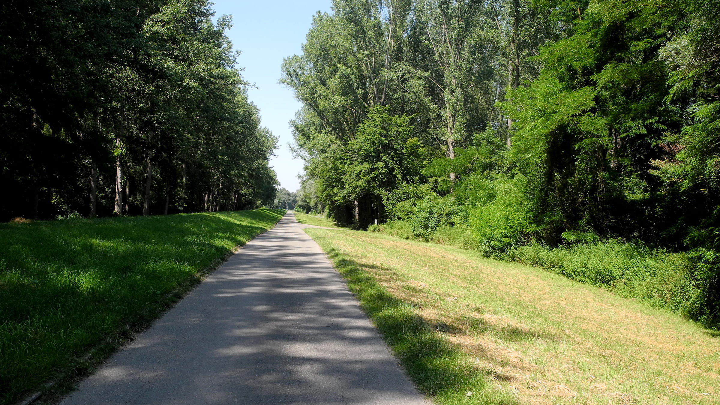 Polder Elisabethenwoerth Image