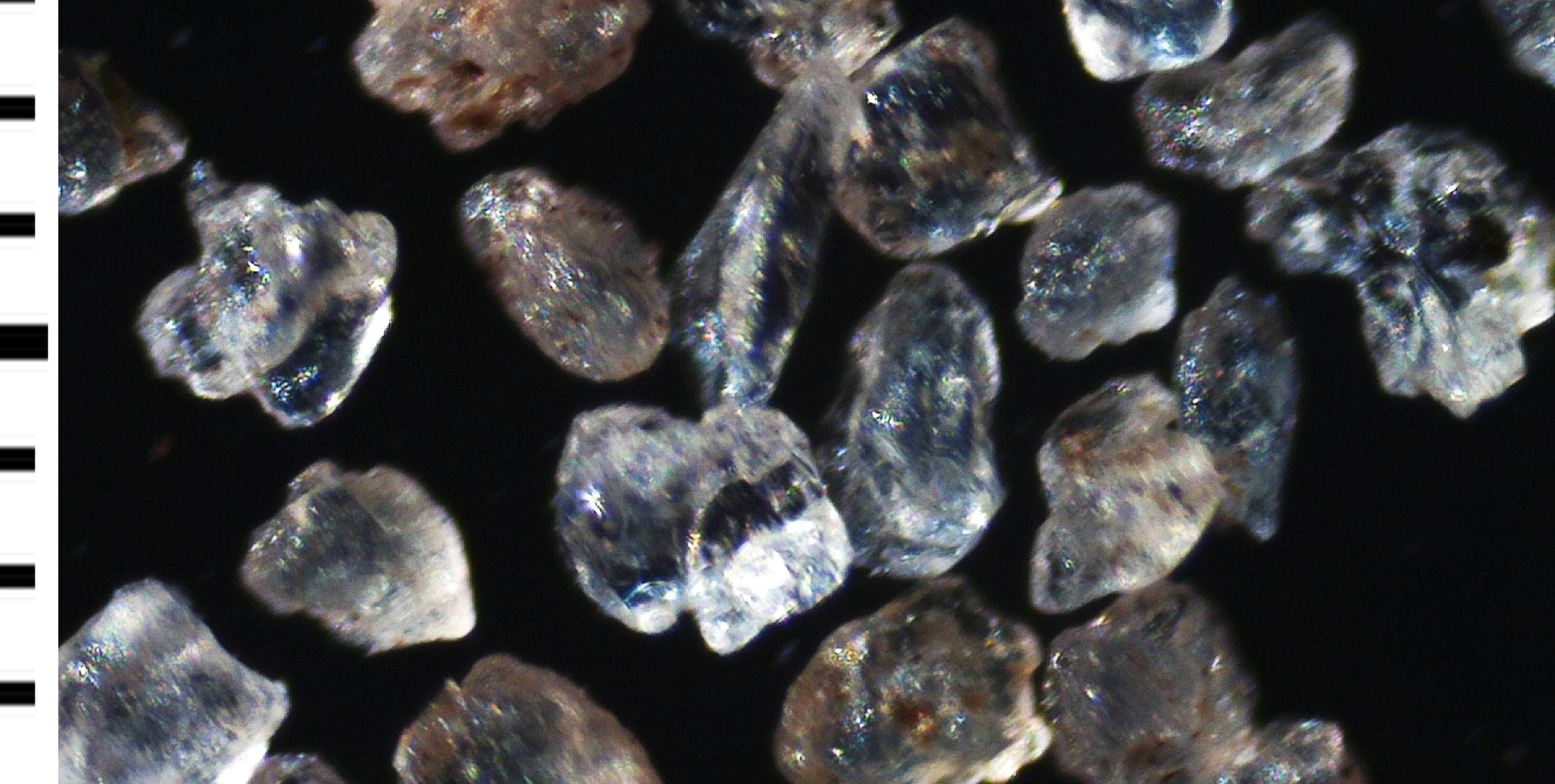 Mikroskopische Aufnahme eines Seeser Sandes