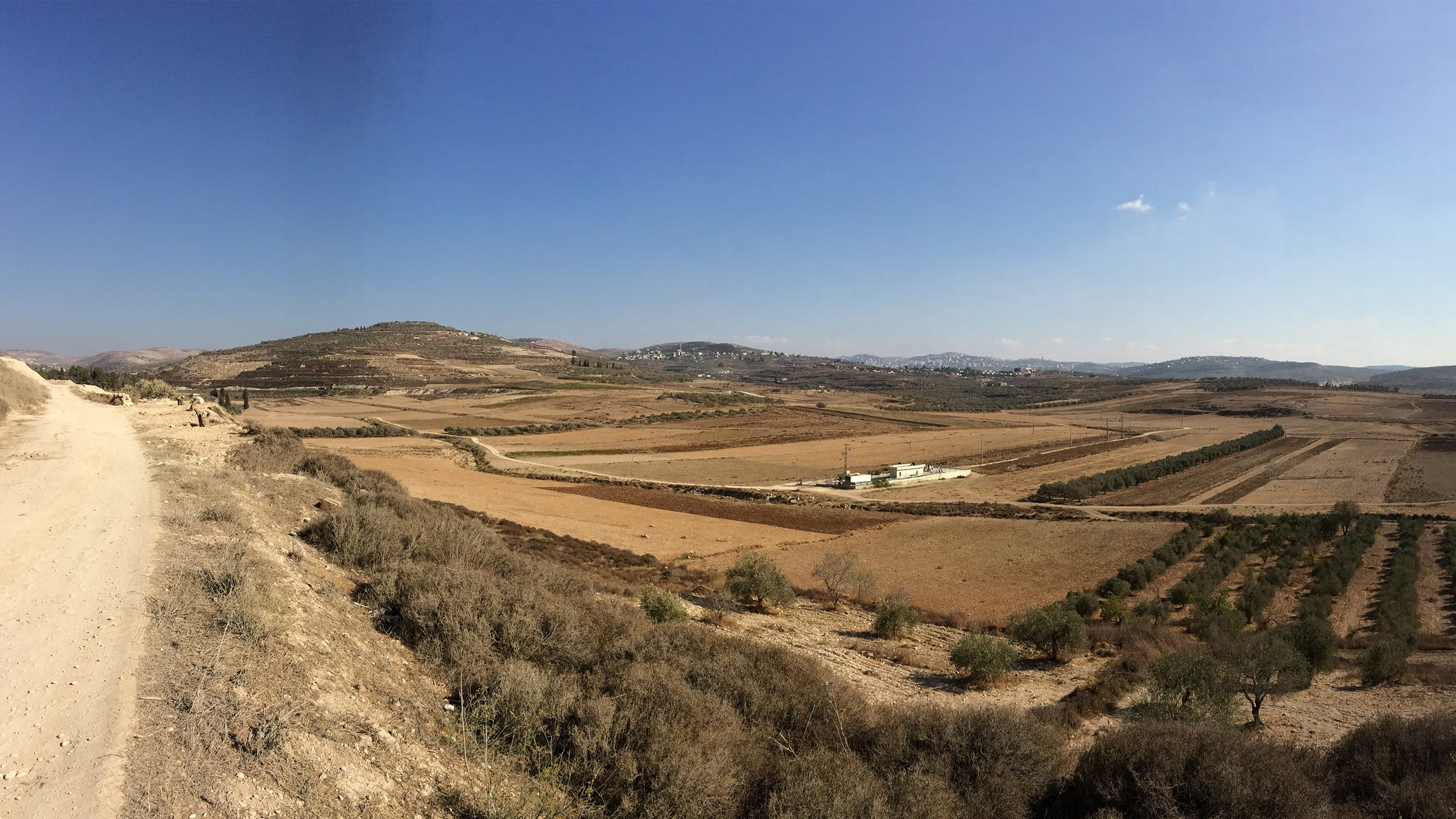 WW Management Nablus Image GI1