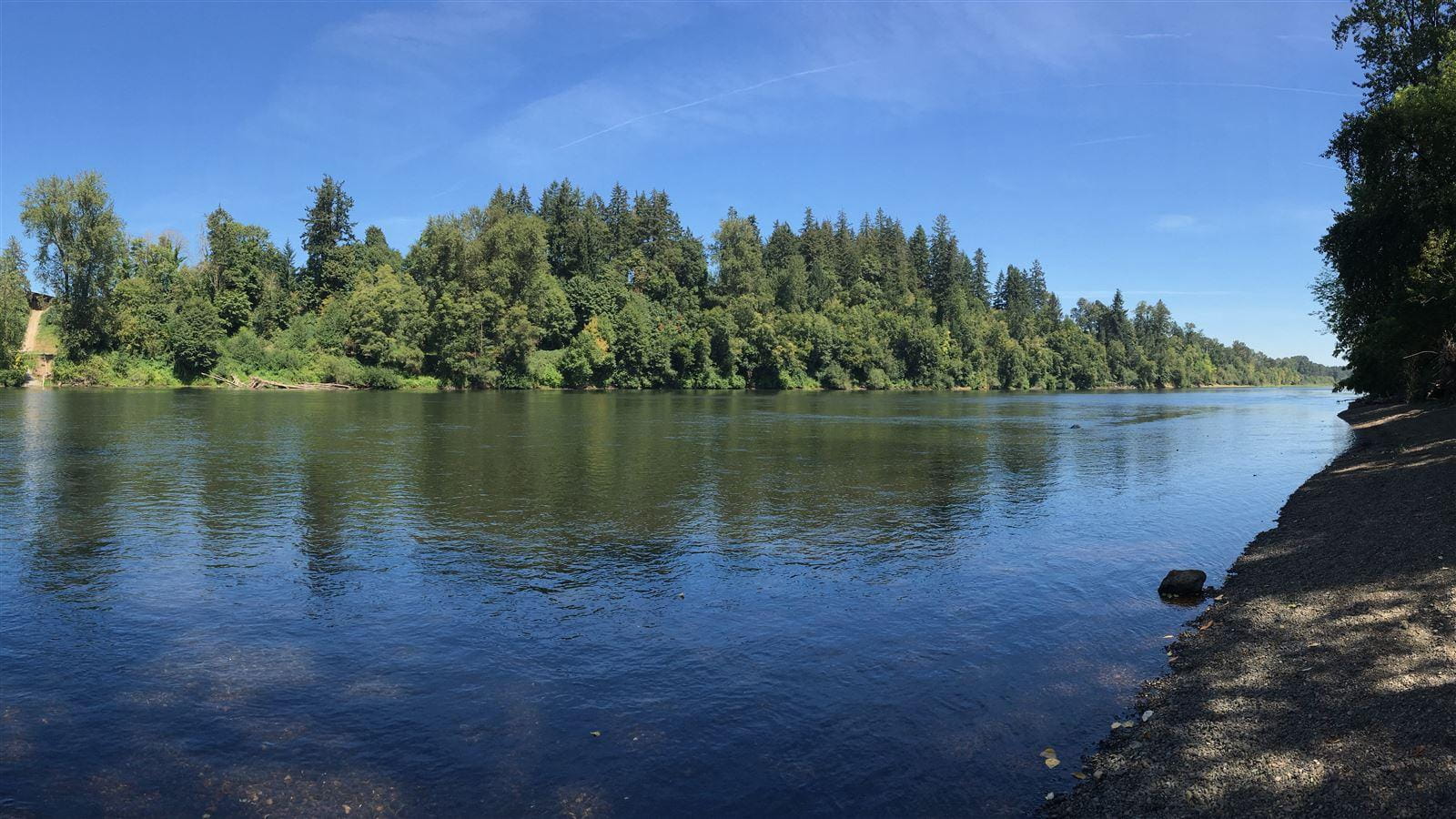 Scenic Willamette River