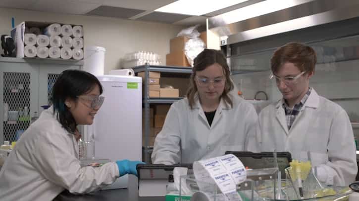 Welcome to the Bellevue Research and Testing Laboratory