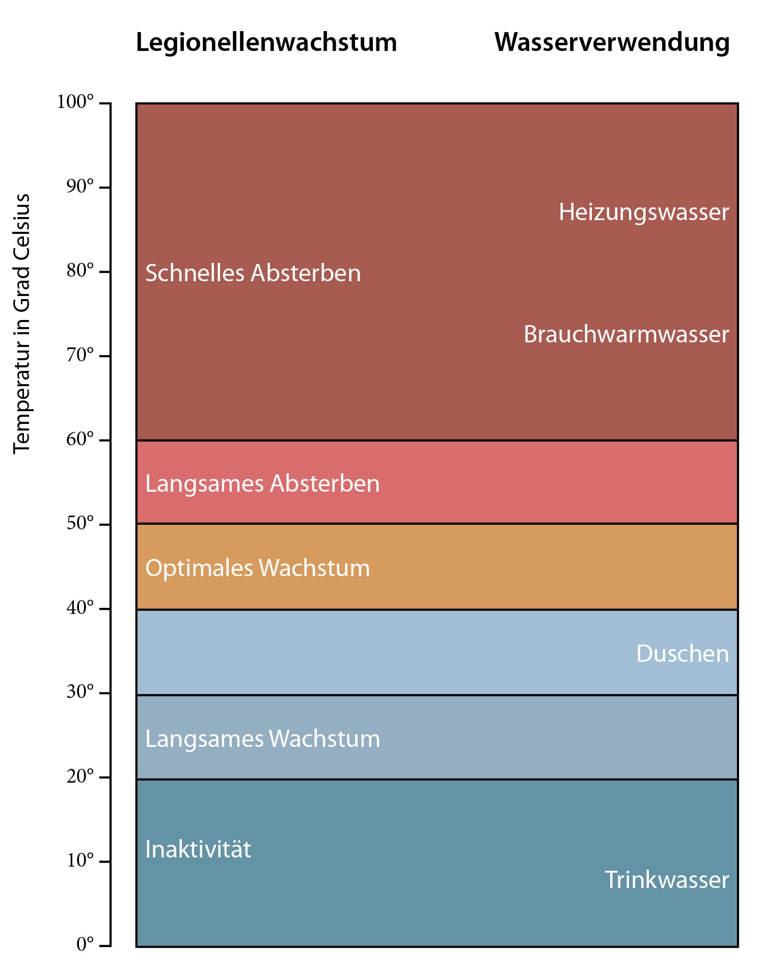 Legionellenwachstum