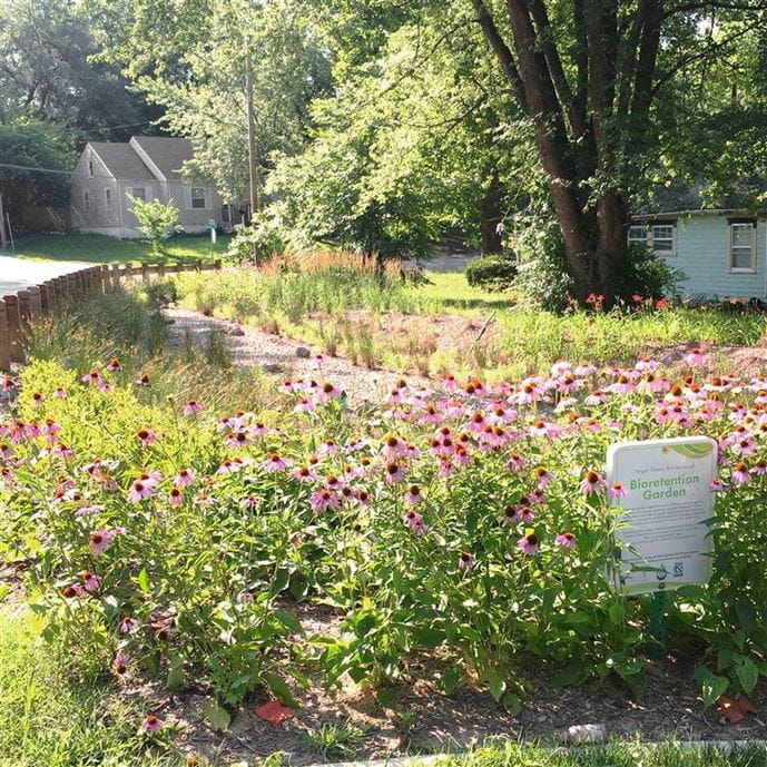 Retention Garden on side of corridor