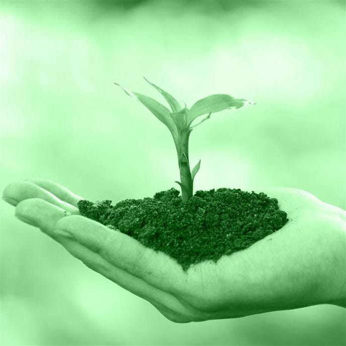 environmental management